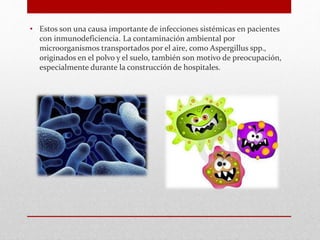 • Estos son una causa importante de infecciones sistémicas en pacientes
con inmunodeficiencia. La contaminación ambiental por
microorganismos transportados por el aire, como Aspergillus spp.,
originados en el polvo y el suelo, también son motivo de preocupación,
especialmente durante la construcción de hospitales.
 