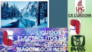 z
LIQUIDOS Y
ELECTROLITOS EN
CIRUGIA
MACGREGOR IMSS
CX CORDOVA
 