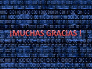 Presentacion delitos informaticos