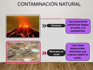 CONTAMINACIÓN NATURAL
Las rocas
desprenden
minerales que
vuelven estéril el
suelo.
Volcanes
Minerales en
rocas
Las erupciones
volcánicas llegan
al suelo y lo
contaminan.
 