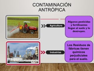 CONTAMINACIÓN
ANTRÓPICA
Los Residuos de
fábricas tienen
químicos
perjudiciales
para el suelo.
Agricultura
Industrias
Algunos pesticidas
y fertilizantes
llegan al suelo y lo
destruyen.
 