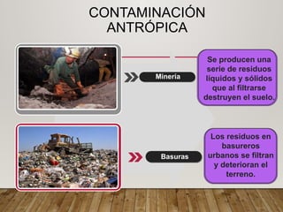 CONTAMINACIÓN
ANTRÓPICA
Los residuos en
basureros
urbanos se filtran
y deterioran el
terreno.
Minería
Basuras
Se producen una
serie de residuos
líquidos y sólidos
que al filtrarse
destruyen el suelo.
 