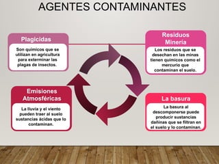 AGENTES CONTAMINANTES
Emisiones
Atmosféricas
La lluvia y el viento
pueden traer al suelo
sustancias ácidas que lo
contaminan.
Plagicidas
Son químicos que se
utilizan en agricultura
para exterminar las
plagas de insectos.
La basura
La basura al
descomponerse puede
producir sustancias
dañinas que se filtran en
el suelo y lo contaminan.
Residuos
Minería
Los residuos que se
desechan en las minas
tienen químicos como el
mercurio que
contaminan el suelo.
 