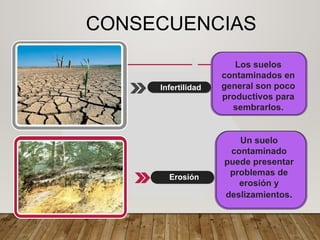 CONSECUENCIAS
Un suelo
contaminado
puede presentar
problemas de
erosión y
deslizamientos.
Infertilidad
Erosión
Los suelos
contaminados en
general son poco
productivos para
sembrarlos.
 
