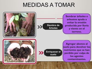 MEDIDAS A TOMAR
Agregar abonos al
suelo para devolver los
nutrientes que se han
perdido por culpa de
los agentes
contaminantes.
Siembra de
Árboles
Enriquecer el
suelo
Sembrar árboles o
arbustos ayuda a
evitar la erosión
producida por lluvia
y viento en el
terreno.
 