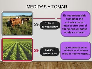 MEDIDAS A TOMAR
Evitar el
Sobrepastoreo
Evitar el
Monocultivo
Es recomendable
trasladar los
animales de un
lugar a otro con el
fin de que el pasto
vuelva a crecer.
Que consiste en no
cultivar en el mismo
suelo el mismo vegetal.
 