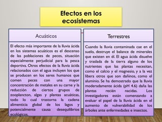 Efectos en los
ecosistemas
El efecto más importante de la lluvia ácida
en los sistemas acuáticos es el descenso
de las poblaciones de peces, situación
especialmente perjudicial para la pesca
deportiva. Otros efectos de la lluvia ácida
relacionados con el agua incluyen los que
se producen en los seres humanos que
comen peces con una mayor
concentración de metales en su carne y la
reducción de ciertos grupos de
zooplancton, algas y plantas acuáticas,
todo lo cual trastorna la cadena
alimenticia global de los lagos y
potencialmente causa desequilibrios
ecológicos.
Terrestres
Cuando la lluvia contaminada cae en el
suelo, destruye el balance de minerales
que existen en él. El agua ácida disuelve
y traslada de la tierra alguno de los
nutrientes que las plantas necesitan,
como el calcio y el magnesio, y a la vez
libera otros que son dañinos, como el
aluminio. Se ha demostrado que la lluvia
moderadamente ácida (pH 4.6) daña las
plantas recién nacidas. Los
investigadores están comenzando a
evaluar el papel de la lluvia ácida en el
aumento de vulnerabilidad de los
árboles ante enfermedades e insectos.
Acuáticos
 