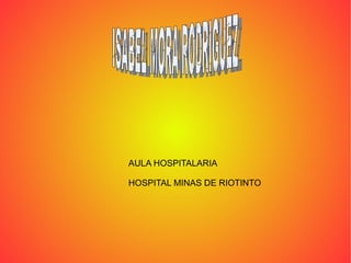 AULA HOSPITALARIA HOSPITAL MINAS DE RIOTINTO ISABEL MORA RODRIGUEZ 