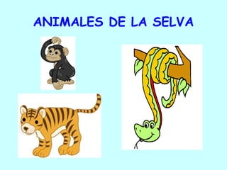 ANIMALES DE LA SELVA 