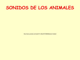 SONIDOS DE LOS ANIMALES http://www.youtube.com/watch?v=oBxwFA7b6Bk&feature=related 