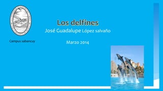 José Guadalupe López salvaño
Marzo 2014Campus sabancuy
 