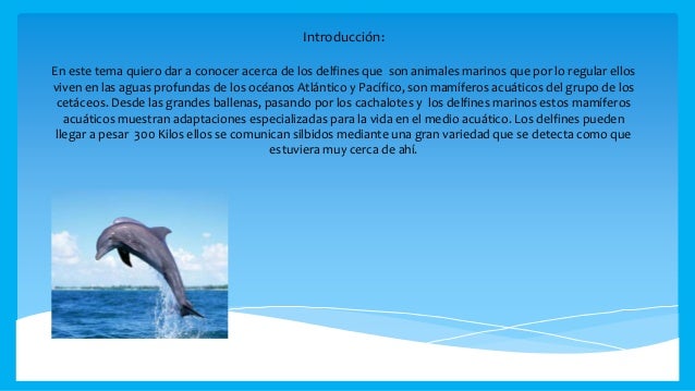 los delfines