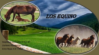 Los Equino
Stephanie Contreras 4-763-491
Llorlene Vilchez E-8-191107
Erick Rojas 4-8-114620
 
