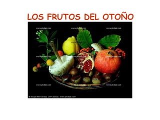 LOS FRUTOS DEL OTOÑO
 