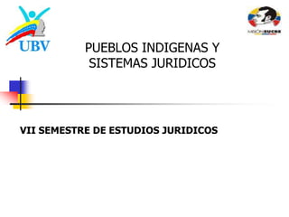 PUEBLOS INDIGENAS Y SISTEMAS JURIDICOS VII SEMESTRE DE ESTUDIOS JURIDICOS 