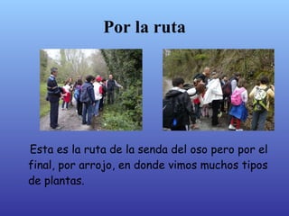 Por la ruta




Esta es la ruta de la senda del oso pero por el
final, por Arrojo, en donde vimos muchos tipos
de plantas.
 