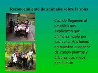 Reconocimiento de animales sobre la
              zona
                   Cuando llegamos al
                   embalse nos
                   explicaron que
                   animales había por
                   esa zona. Anotamos
                   en nuestro cuaderno
                   de campo plantas y
                   árboles que vimos
                   por la ruta.
 