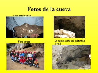 Fotos de la cueva
Una estalactita




   Foto grupo     La cueva vista de distintos
                  sitios
 