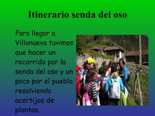 Itinerario senda del oso
Para llegar a
Villanueva tuvimos
que hacer un
recorrido por la
senda del oso y un
poco por el pueblo
resolviendo
acertijos de
plantas.
 
