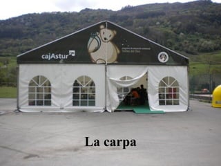La carpa
 
