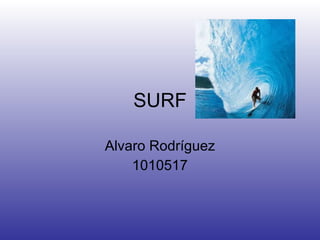 SURF Alvaro Rodríguez 1010517 
