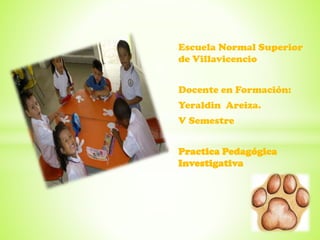 Escuela Normal Superior
de Villavicencio
Docente en Formación:
Yeraldin Areiza.
V Semestre
Practica Pedagógica
Investigativa
 