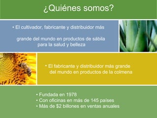 •  Fundada en 1978 •  Con oficinas en más de 145 países •  Más de $2 billones en ventas anuales  ¿Quiénes somos? •  El cultivador, fabricante y distribuidor más   grande del mundo en productos de sábila  para la salud y belleza El fabricante y distribuidor más grande  del mundo en productos de la colmena 