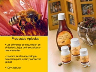 Productos Apícolas •  Las colmenas se encuentran en el desierto, lejos de insecticidas y contaminantes •  Usamos la última tecnología patentada para juntar y conservar  la miel •  100% Natural 
