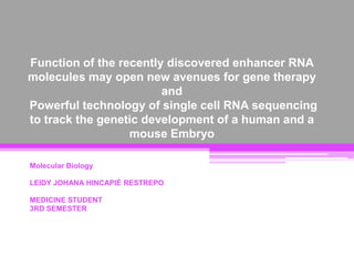 Function of the recently discovered enhancer RNA
molecules may open new avenues for gene therapy
and
Powerful technology of single cell RNA sequencing
to track the genetic development of a human and a
mouse Embryo
Molecular Biology
LEIDY JOHANA HINCAPIÉ RESTREPO
MEDICINE STUDENT
3RD SEMESTER
 