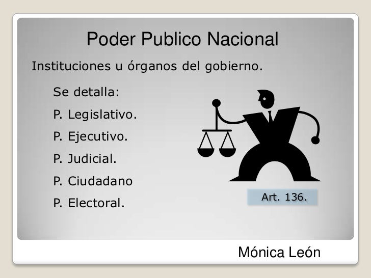 que es poder publico nacional