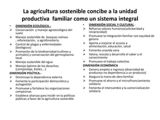 Presentación del programa de soberanía alimentaria de urocal a universidad andina