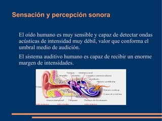 Sensación y percepción sonora
El oído humano es muy sensible y capaz de detectar ondas
acústicas de intensidad muy débil, valor que conforma el
umbral medio de audición.
El sistema auditivo humano es capaz de recibir un enorme
margen de intensidades.
 