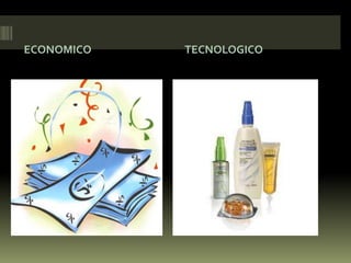 ECONOMICOTECNOLOGICO
