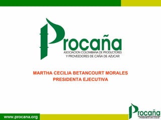 MARTHA CECILIA BETANCOURT MORALES
      PRESIDENTA EJECUTIVA
 