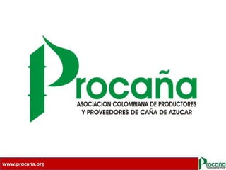 www.procana.org
 