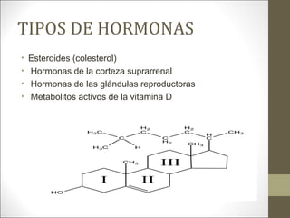 TIPOS DE HORMONAS
• Esteroides (colesterol)
• Hormonas de la corteza suprarrenal
• Hormonas de las glándulas reproductoras
• Metabolitos activos de la vitamina D
 
