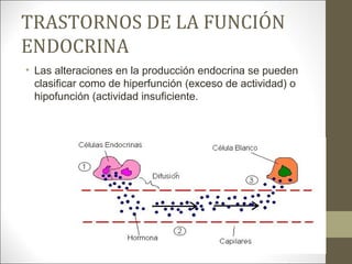 TRASTORNOS DE LA FUNCIÓN
ENDOCRINA
• Las alteraciones en la producción endocrina se pueden
clasificar como de hiperfunción (exceso de actividad) o
hipofunción (actividad insuficiente.
 