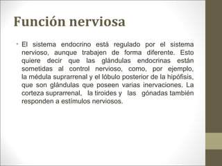 Función nerviosa
• El sistema endocrino está regulado por el sistema
nervioso, aunque trabajen de forma diferente. Esto
quiere decir que las glándulas endocrinas están
sometidas al control nervioso, como, por ejemplo,
la médula suprarrenal y el lóbulo posterior de la hipófisis,
que son glándulas que poseen varias inervaciones. La
corteza suprarrenal, la tiroides y las gónadas también
responden a estímulos nerviosos.
 