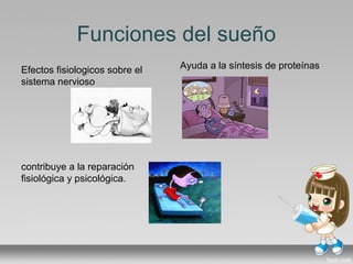 Funciones del sueño
Efectos fisiologicos sobre el
sistema nervioso
contribuye a la reparación
fisiológica y psicológica.
Ayuda a la síntesis de proteínas
 