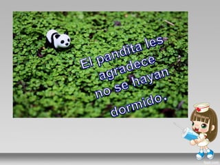 Presentacion del sueño