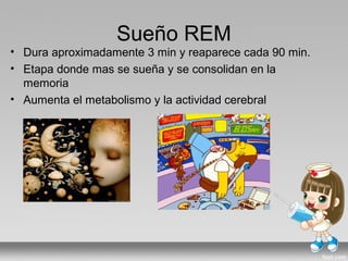 Sueño REM
• Dura aproximadamente 3 min y reaparece cada 90 min.
• Etapa donde mas se sueña y se consolidan en la
memoria
• Aumenta el metabolismo y la actividad cerebral
 