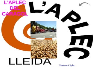 L'APLEC
DEL
CARAGOL
Video de L'Aplec