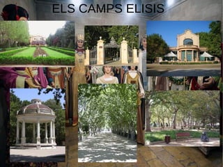 9
ELS CAMPS ELISIS