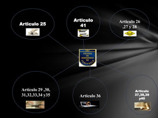 Articulo
41
Articulo
37,38,39
y40
Articulo 36
Articulo 29 ,30,
31,32,33,34 y35
Articulo 26
,27 y 28
Articulo 25
 