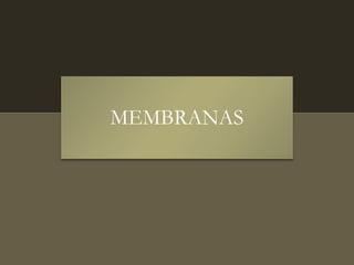 MEMBRANAS
 