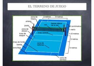EL TERRENO DE JUEGO
 