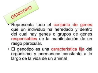 • Representa todo el conjunto de genes 
que un individuo ha heredado y dentro 
del cual hay genes o grupos de genes 
responsables de la manifestación de un 
rasgo particular. 
• El genotipo es una característica fija del 
organismo y permanece constante a lo 
largo de la vida de un animal 
 