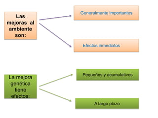 Las 
mejoras al 
ambiente 
son: 
Generalmente importantes 
Efectos inmediatos 
La mejora 
genética 
tiene 
efectos: 
Pequeños y acumulativos 
A largo plazo 
 