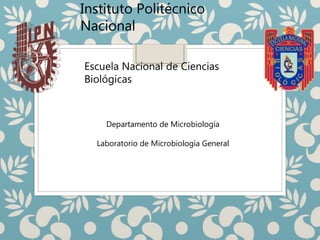 Instituto Politécnico
Nacional
Escuela Nacional de Ciencias
Biológicas
Departamento de Microbiología
Laboratorio de Microbiología General
 