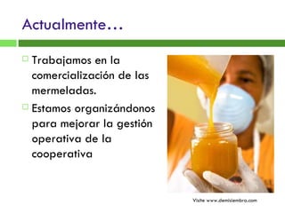 Actualmente… Trabajamos en la comercialización de las mermeladas. Estamos organizándonos para mejorar la gestión operativa de la cooperativa  Visite www.demisiembra.com 